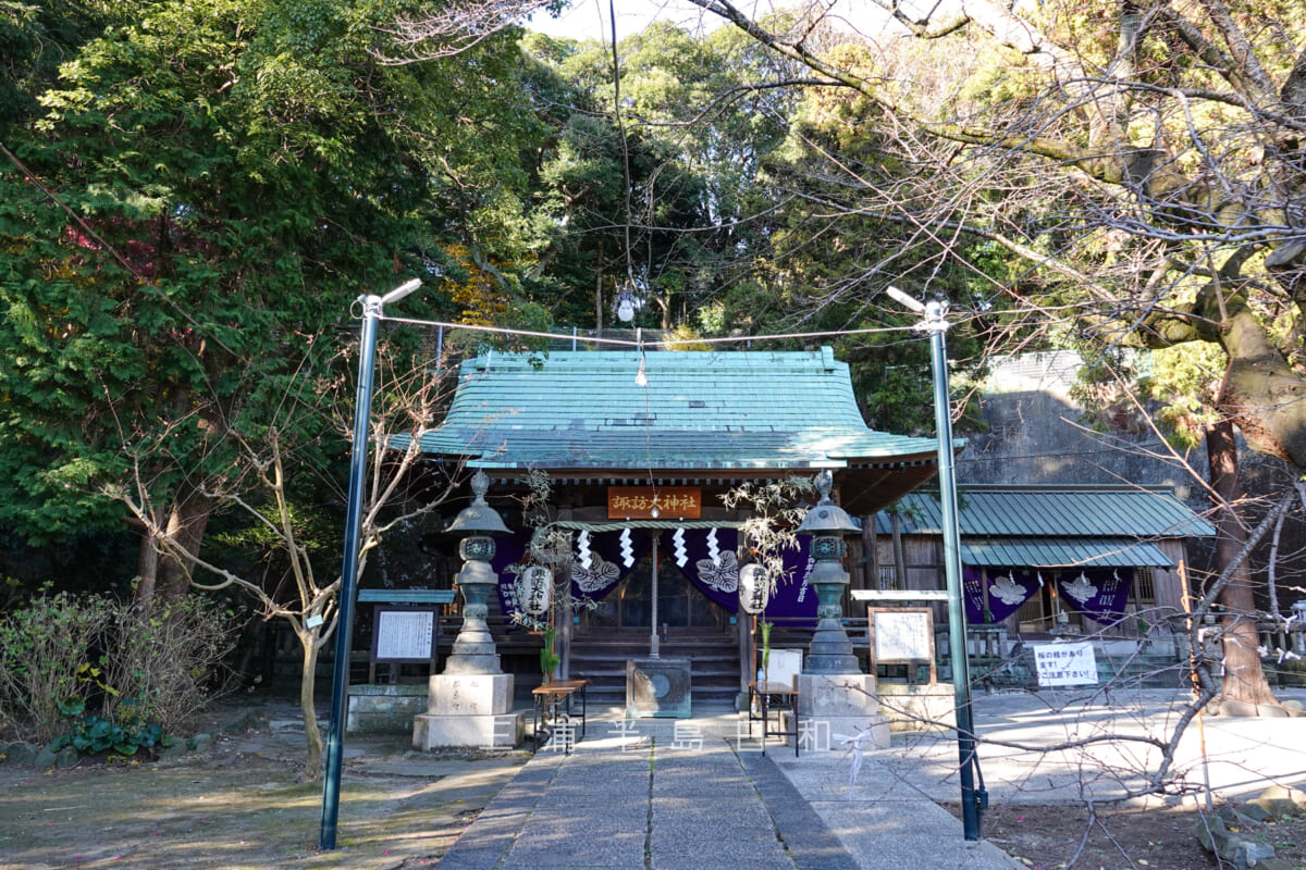 諏訪大神社・お正月の装いをした社殿（撮影日：2025.01.01）