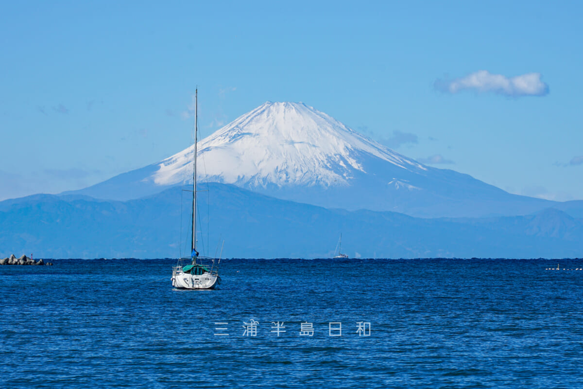 諸磯湾より富士山を望む（アップ）（撮影日：2025.01.10）