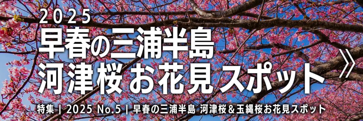 【2025 No.5】特集 | 三浦半島河津桜の名所