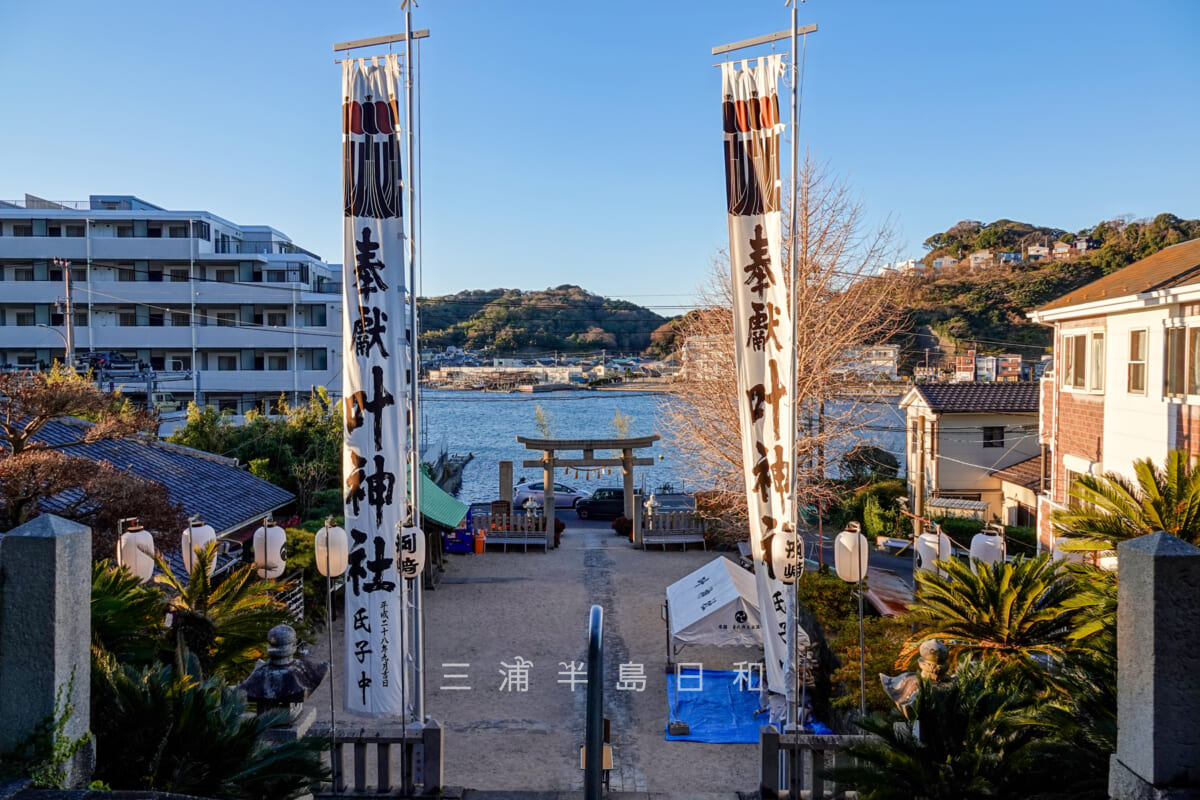 東叶神社・お正月の早朝に社殿前より神社幟と浦賀湾を望む（撮影日：2025.01.01）