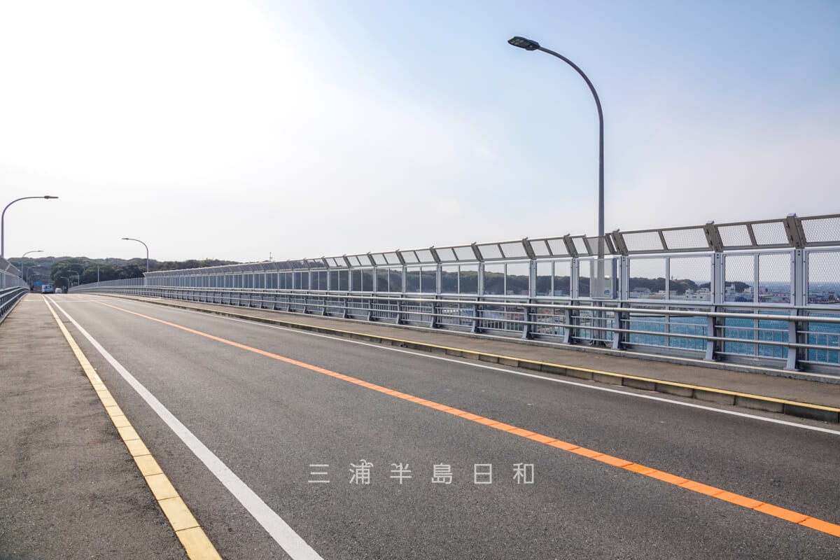 城ヶ島大橋・全面フェンス化後の道路（撮影日：2025.01.15）