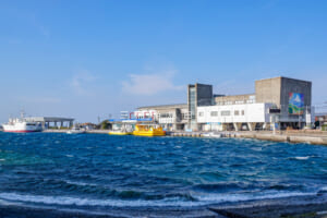 うらりマルシェ＆三崎魚市場