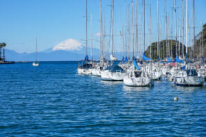 諸磯湾に浮かぶヨットと富士山（撮影日：2025.01.10）