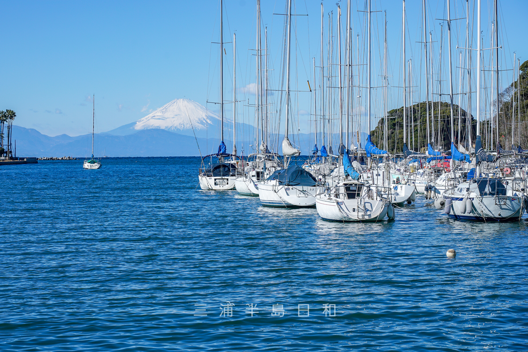 諸磯湾に浮かぶヨットと富士山（撮影日：2025.01.10）