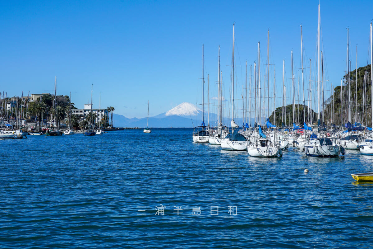 諸磯湾より富士山を望む（撮影日：2025.01.10）