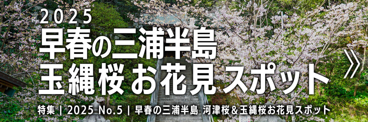 【2025 No.5】特集 | 三浦半島玉縄桜の名所