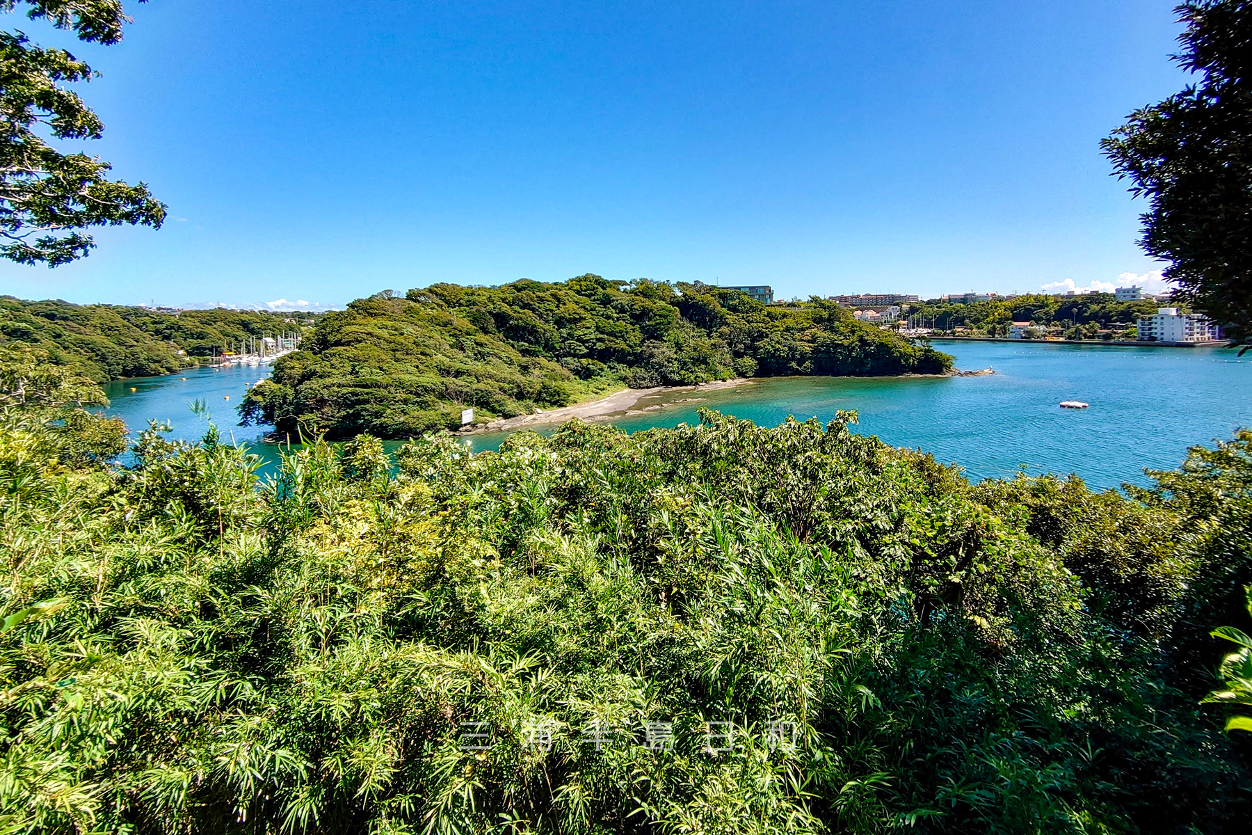 油壺湾・湾口（撮影日：2023.09.05）