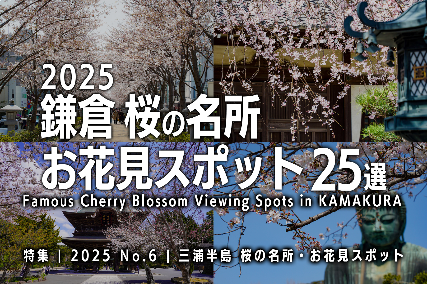 【2025 No.6】特集 | 鎌倉桜の名所