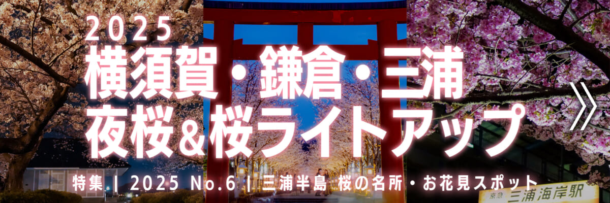 【2025 No.6】特集 | 横須賀・鎌倉・三浦 夜桜スポット