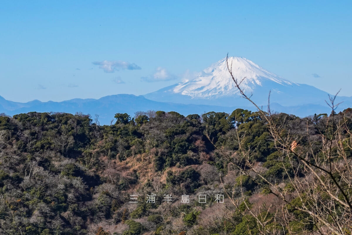 三浦富士（浅間神社奥宮）・山頂より富士山を望む（アップ）（撮影日：2025.01.31）