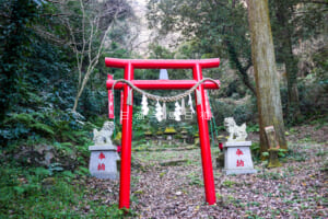 若宮神社[長沢]