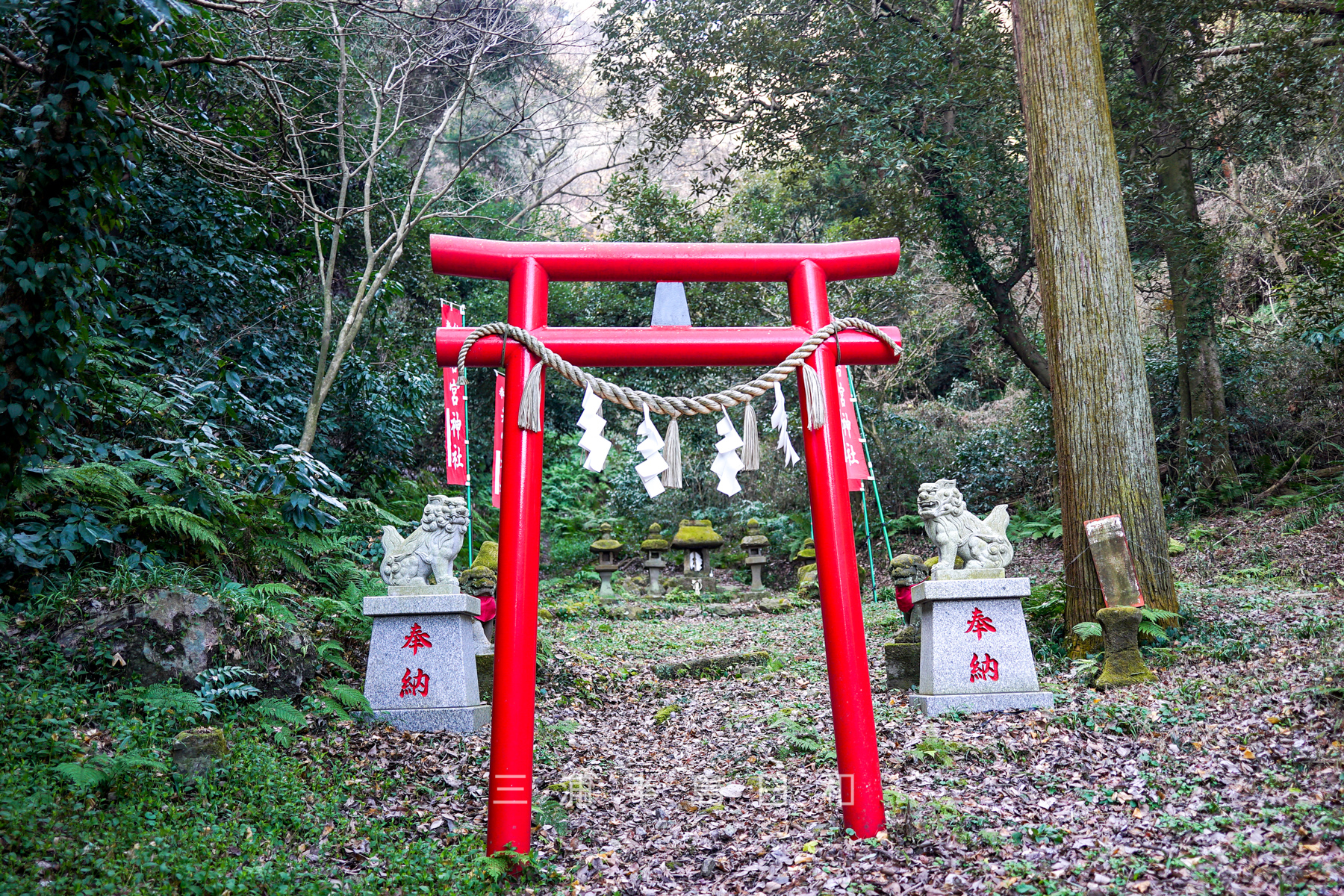 若宮神社（長沢）（撮影日：2025.01.24）