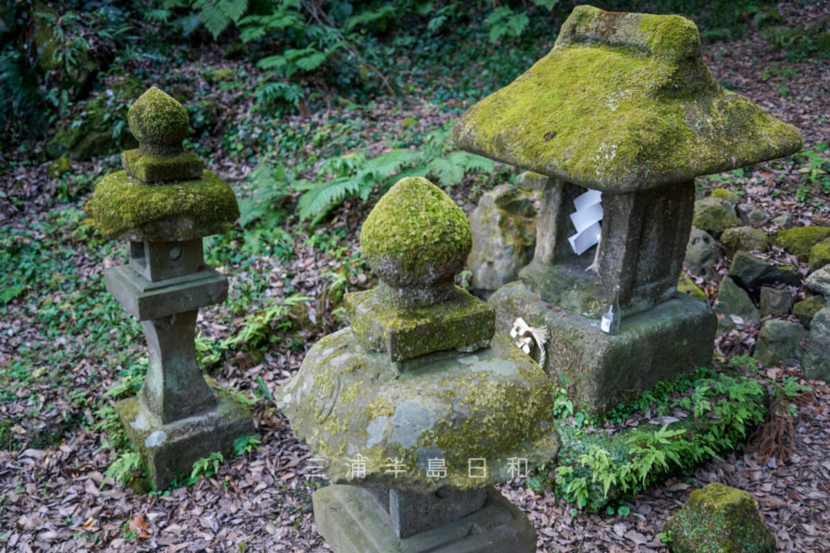 若宮神社（長沢）・苔むした石祠（撮影日：2025.01.24）