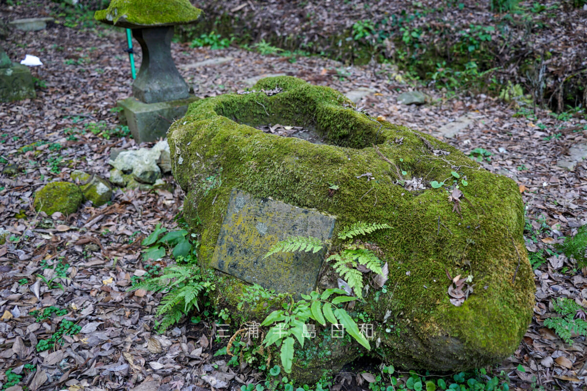 若宮神社（長沢）・苔むした手水鉢（撮影日：2025.01.24）