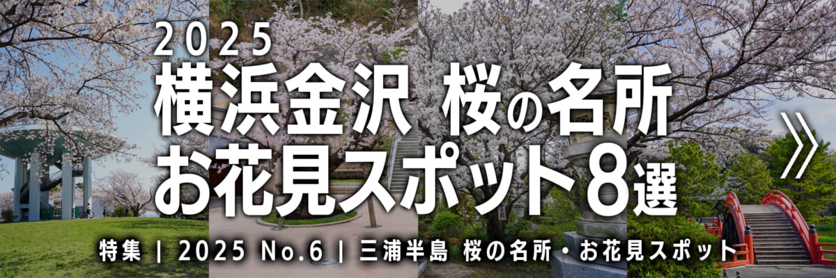 【2025 No.6】特集 | 横浜金沢桜の名所