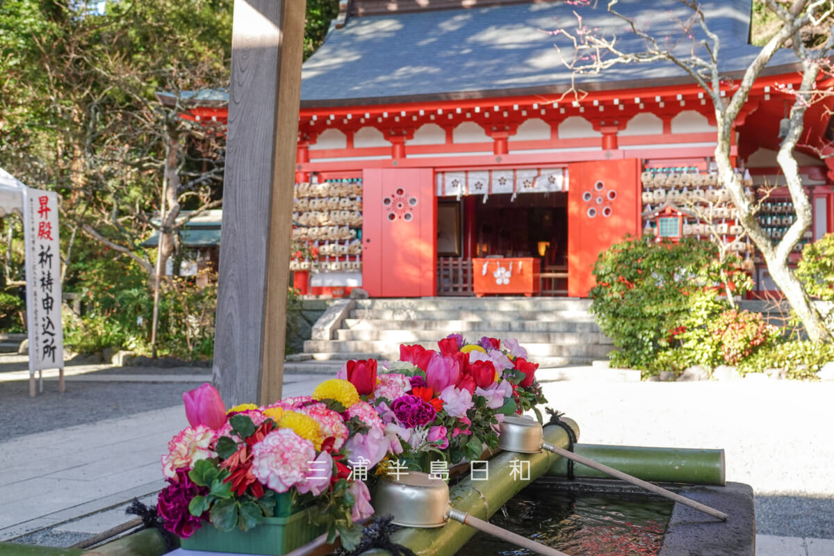 荏柄天神社・花手水と社殿（撮影日：2025.02.07）