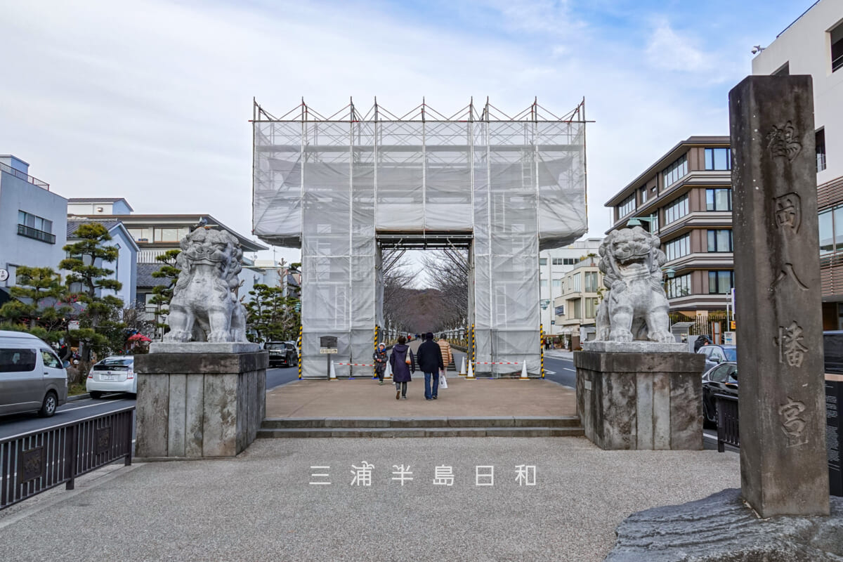 鶴岡八幡宮-若宮大路・工事中の二の鳥居（撮影日：2025.02.21）