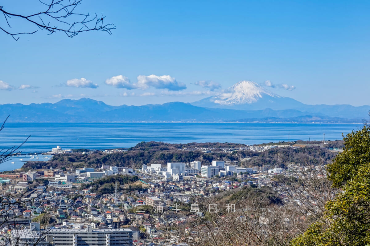 武山見晴台・関東の富士見百景選定地より富士山を望む（撮影日：2025.01.31）