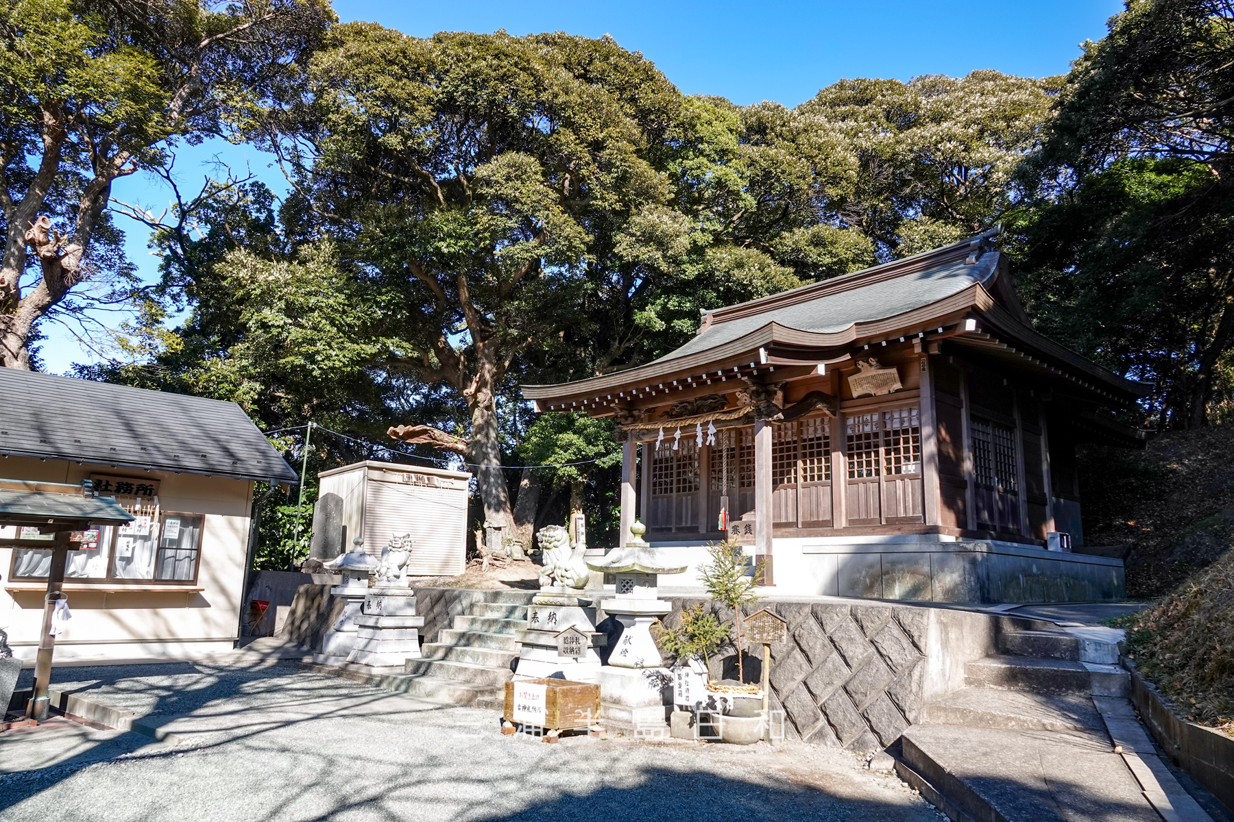 三島神社（武三島神社）・社殿と神奈川県指定天然記念物「三島社の社叢林」（撮影日：2025.02.20）