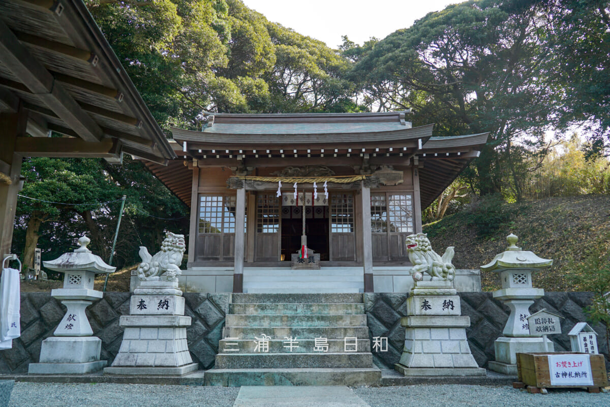 三島神社（武三島神社）・社殿（撮影日：2025.01.24）