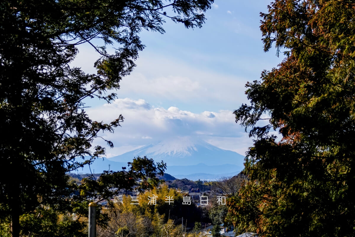 三島神社（武三島神社）・富士山遥拝所より富士山を拝む（アップ）（撮影日：2025.02.20）