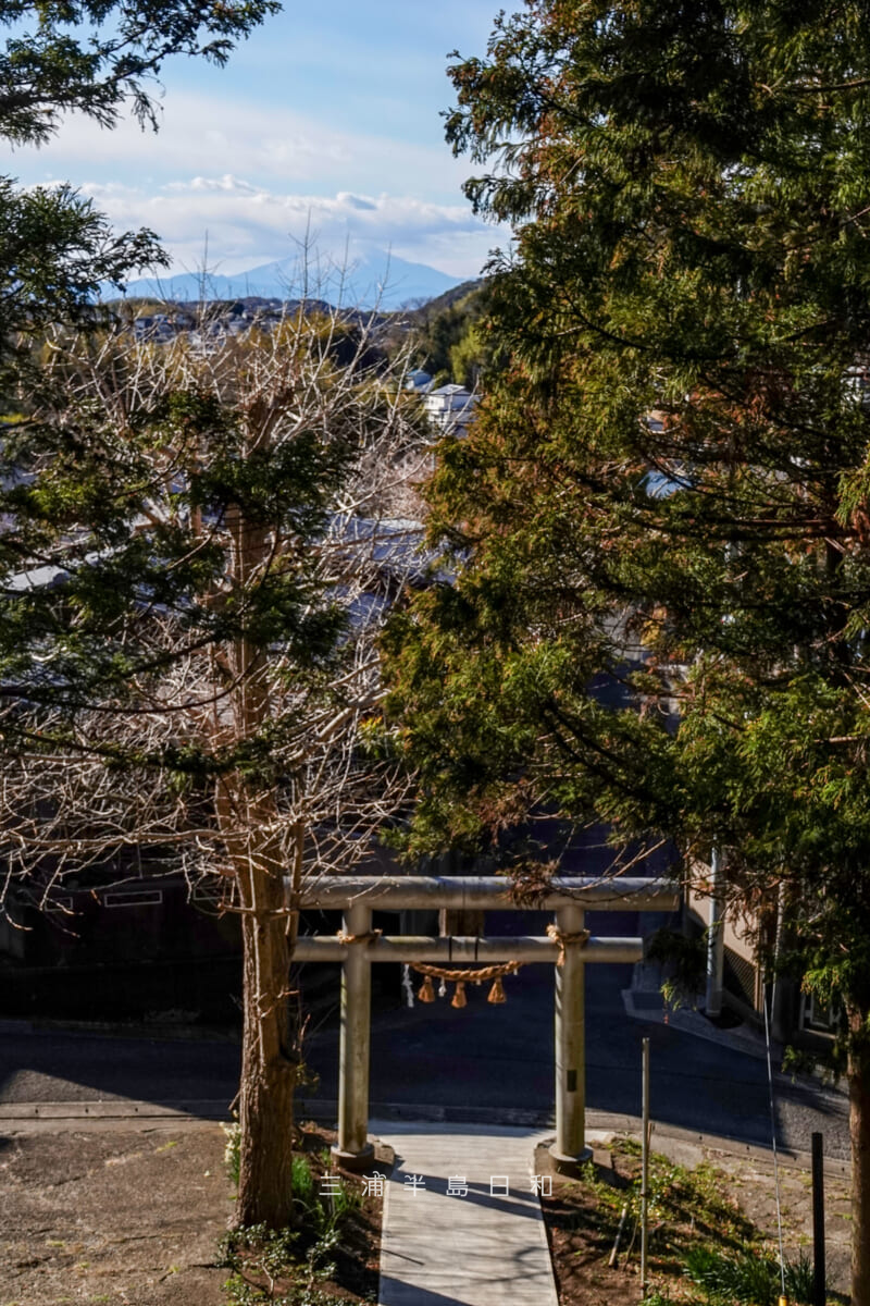 三島神社（武三島神社）・社殿前より富士山を拝む（撮影日：2025.02.20）