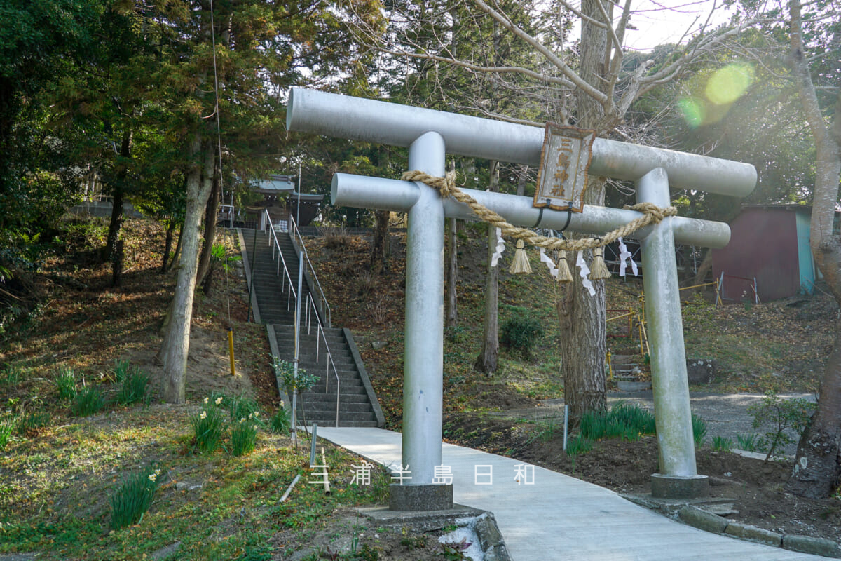 三島神社（武三島神社）・鳥居前より社殿を見上げる（撮影日：2025.01.24）