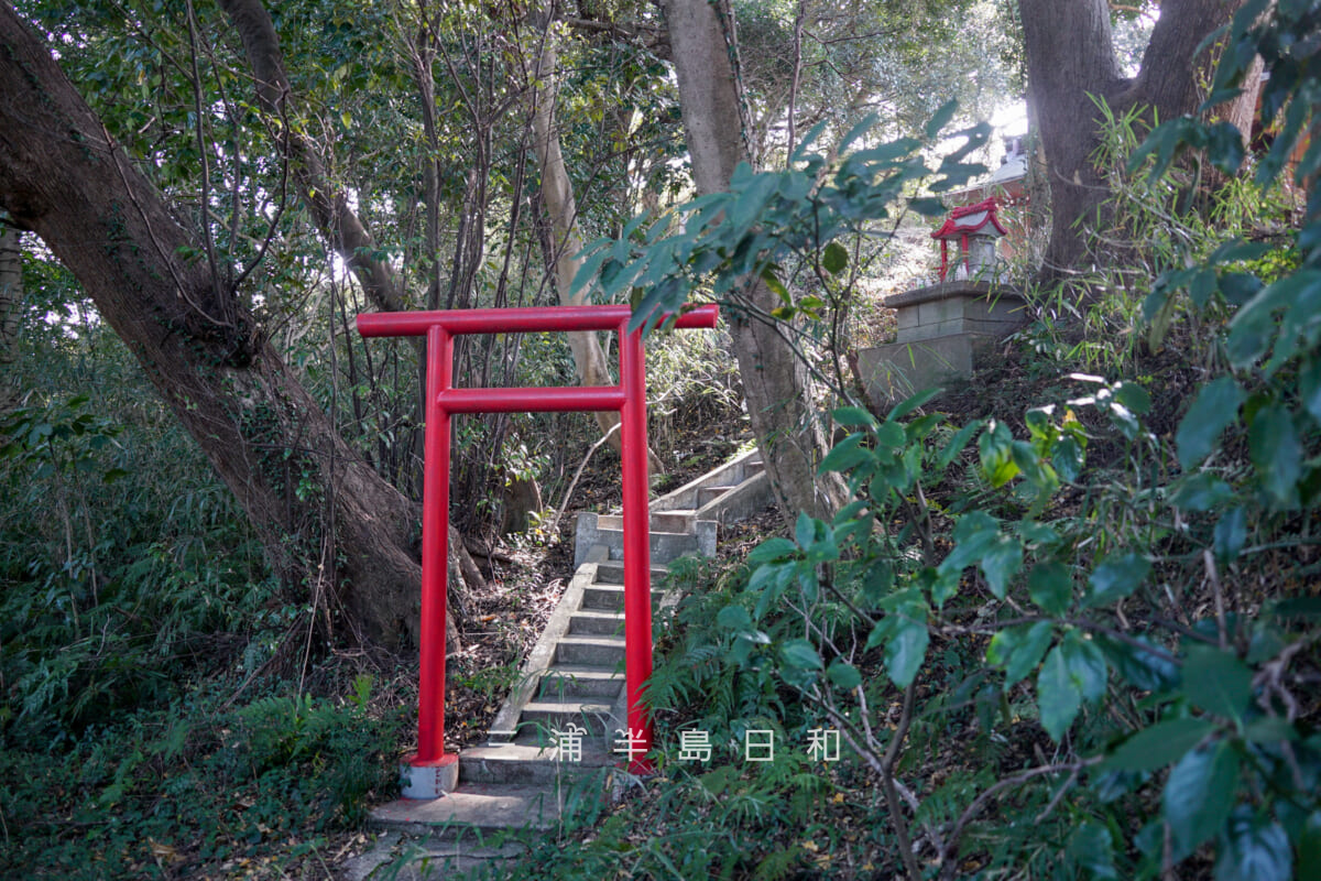 三島神社（武三島神社）・境内社-八坂神社（撮影日：2025.01.24）