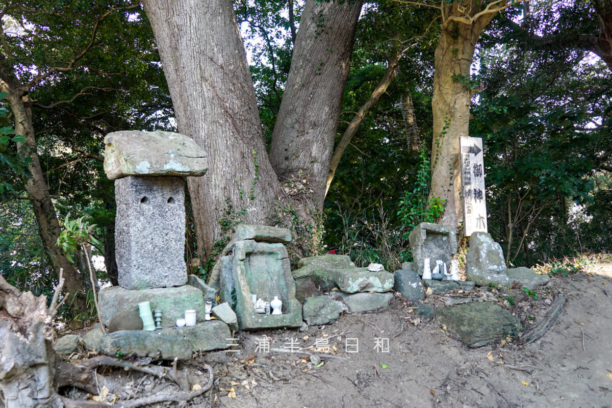 三島神社（武三島神社）・合祀された境内社（撮影日：2025.01.24）