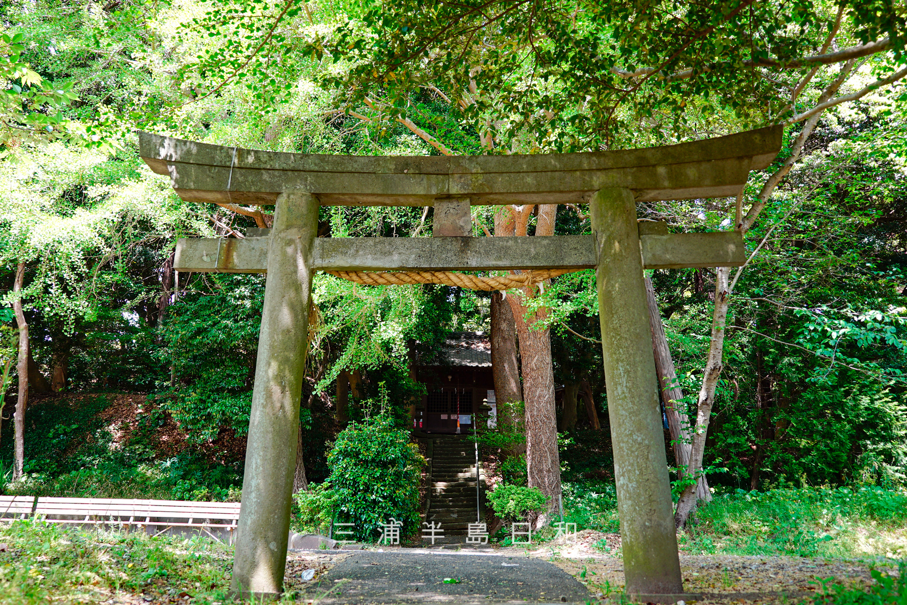 須軽谷八幡神社・鳥居（撮影日：2021.04.27）