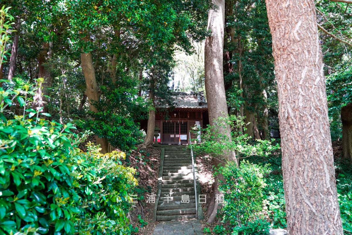 須軽谷八幡神社・境内(撮影日:2021.04.27)