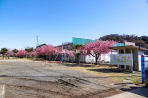 浦郷公園（撮影日：2025.03.07）