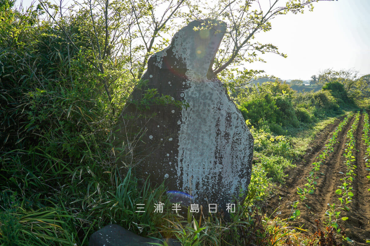 和田朝盛塚碑（撮影日：2025.04.17）