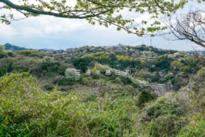 十三峠