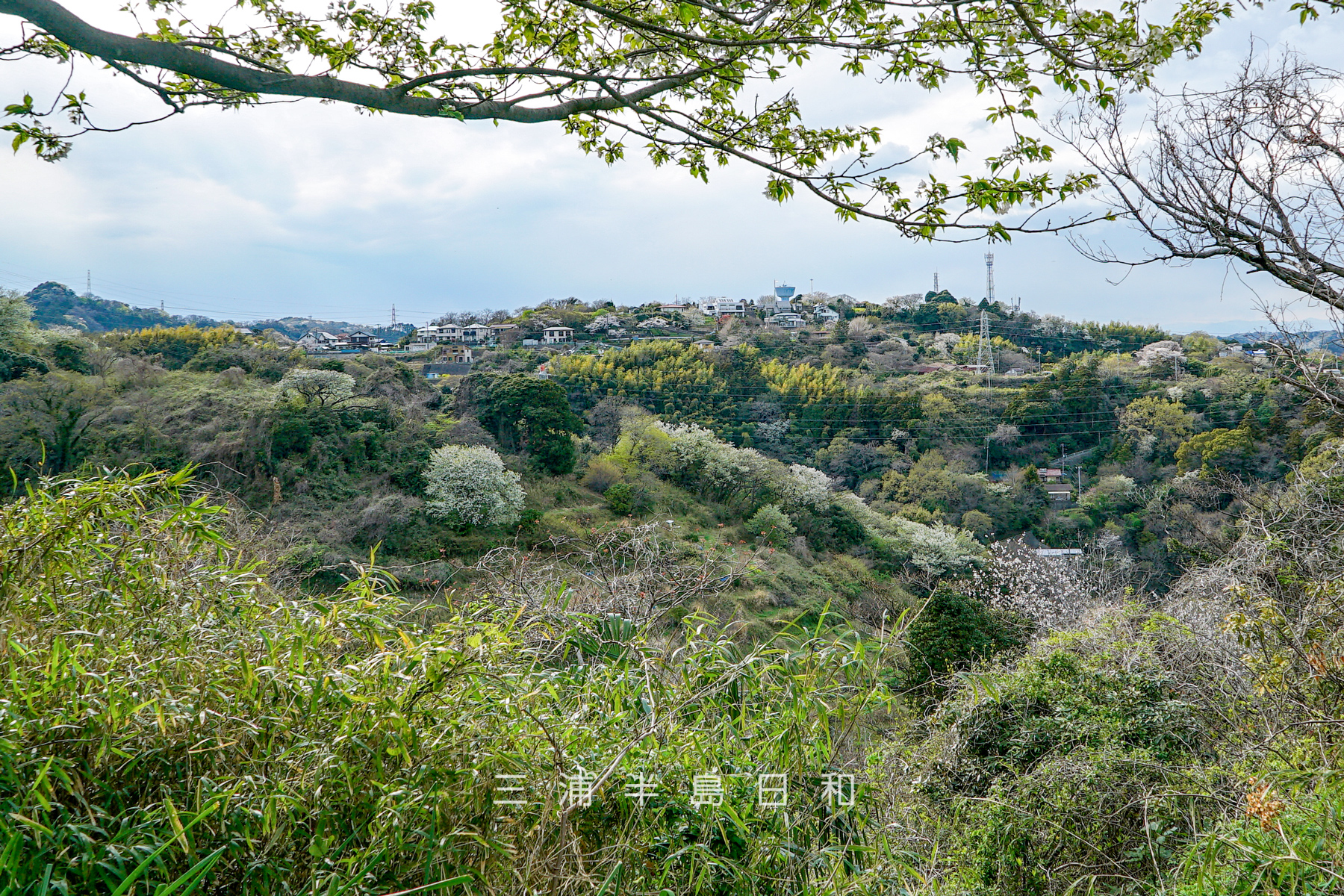 十三峠・塚山公園より望む（撮影日：2025.04.04）