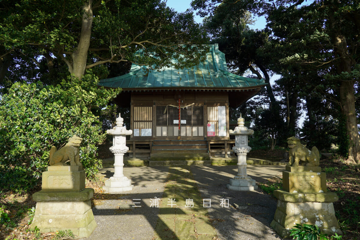 高円坊日枝神社・社殿（撮影日：2025.04.17）