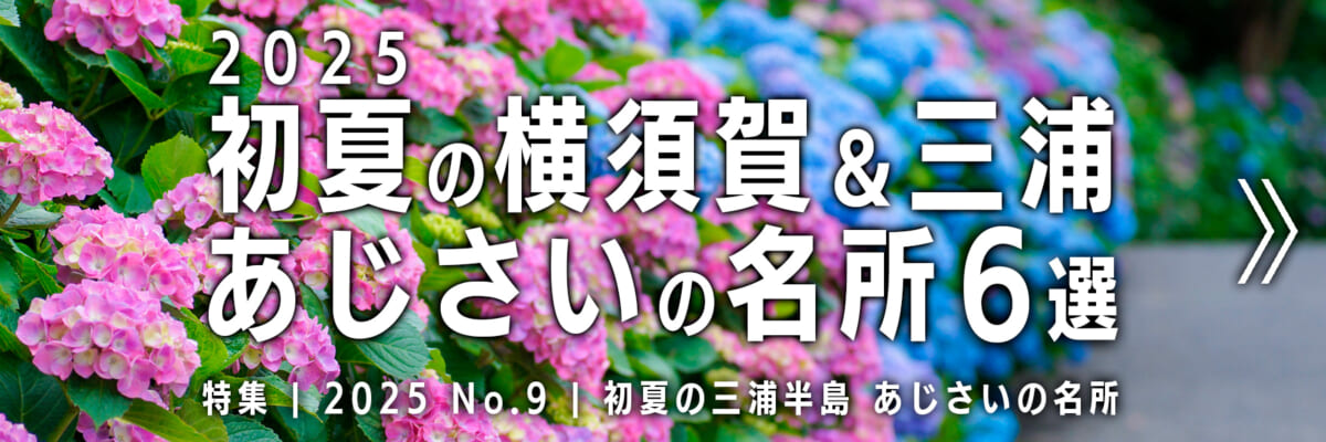 【2025 No.9】特集 | 横須賀&三浦あじさいの名所