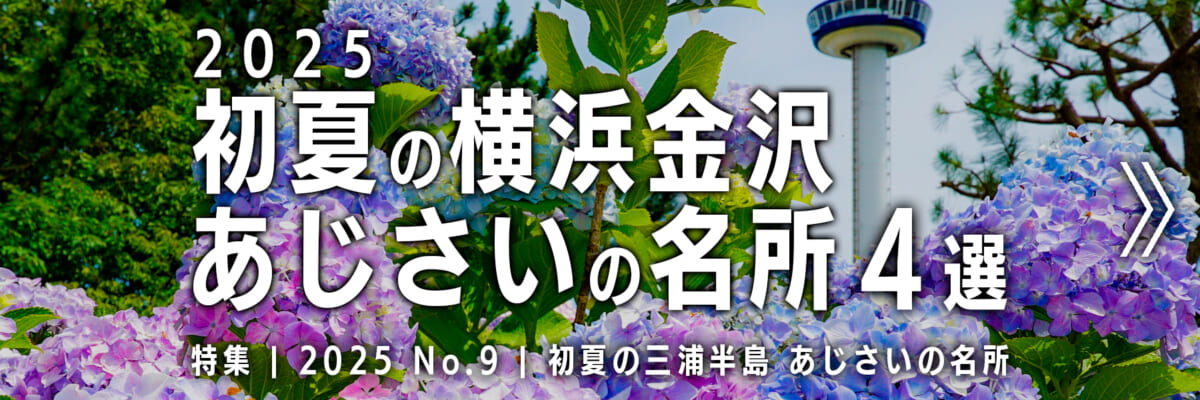 【2025 No.9】特集 | 横浜金沢あじさいの名所