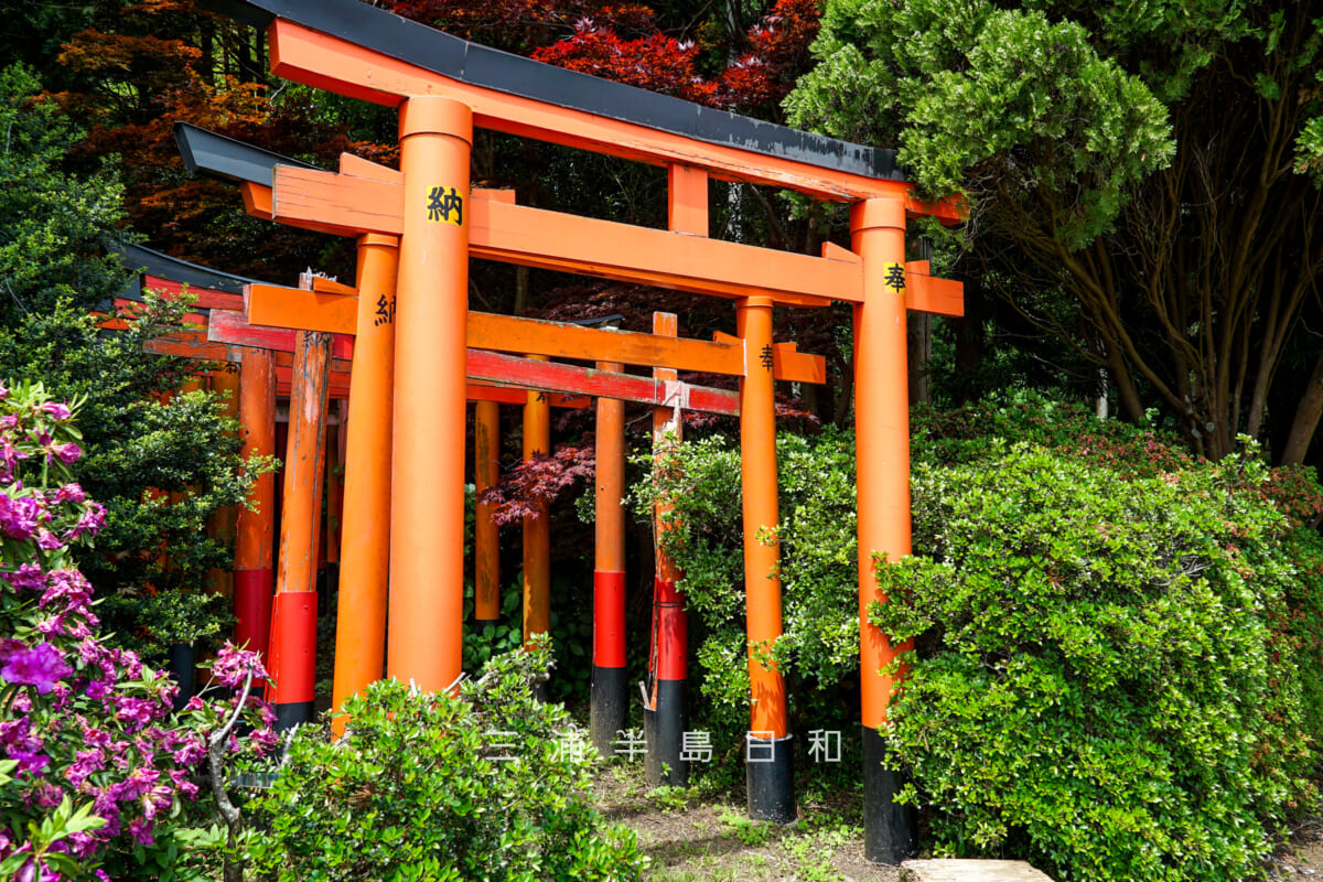 白赤稲荷神社・鳥居のトンネルの入口（撮影日：2025.05.08）