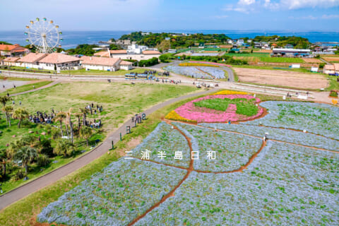 【衝撃】 長井 海 の 手 公園 ソレイユ の 丘 人気理由と評判まとめ #618