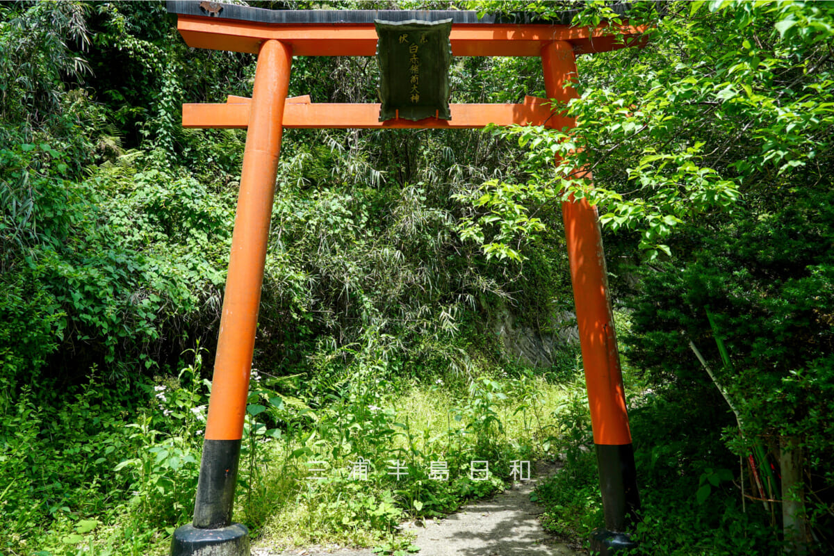 白赤稲荷神社・「伏見白赤稲荷大神」の扁額がかかる登り口の鳥居（撮影日：2025.05.08）