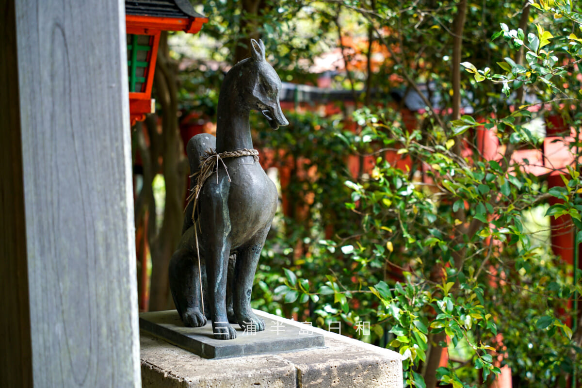 白赤稲荷神社・社殿前の狛狐（撮影日：2025.05.08）