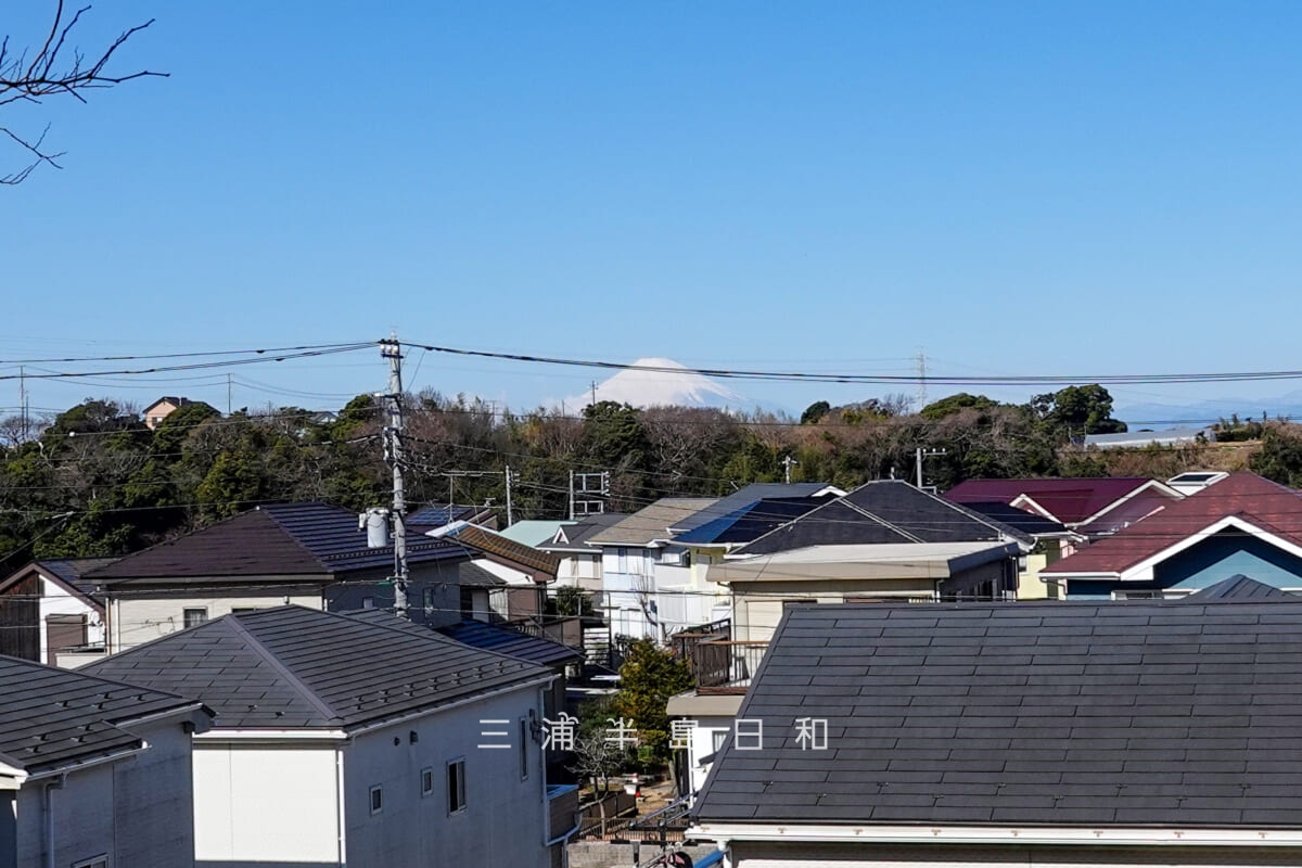 沓形公園・富士山の頂上付近を望む(アップ)(撮影日:2025.03.07)