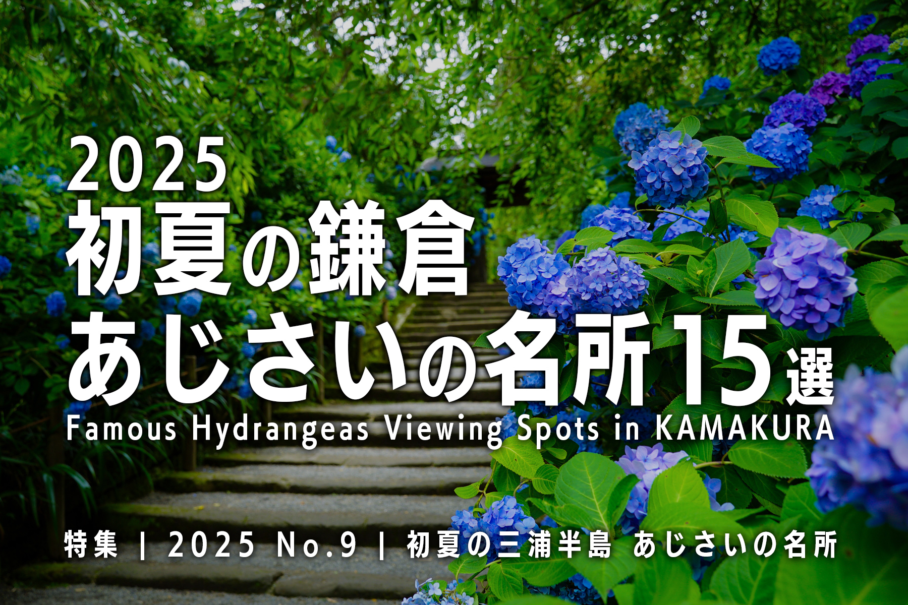 【2025 No.9】特集 | 鎌倉あじさいの名所