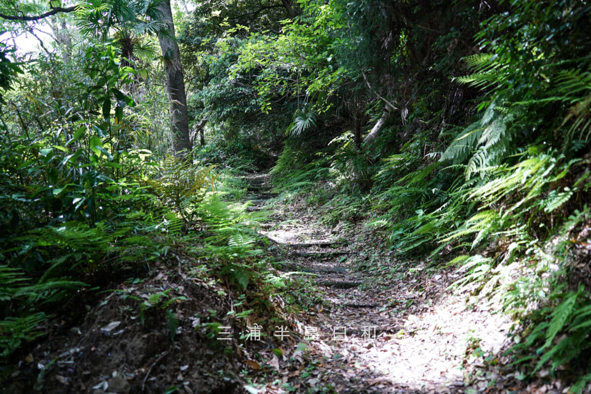 白赤稲荷神社・15分ほど山道が続く参道（撮影日：2025.05.08）