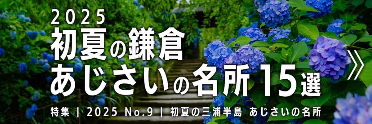 【2025 No.9】特集 | 鎌倉あじさいの名所