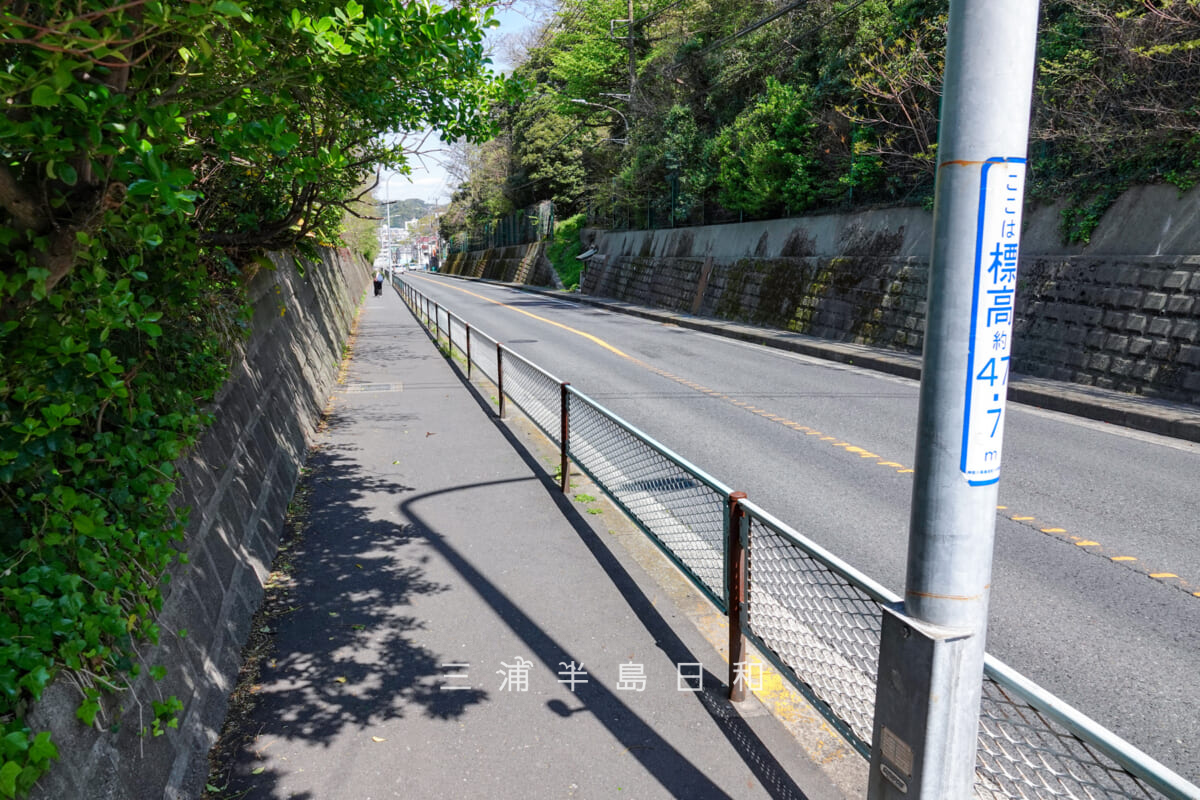 尻こすり坂(尻こすり坂通り)・坂上より久里浜方面を望む(撮影日:2025.04.09)