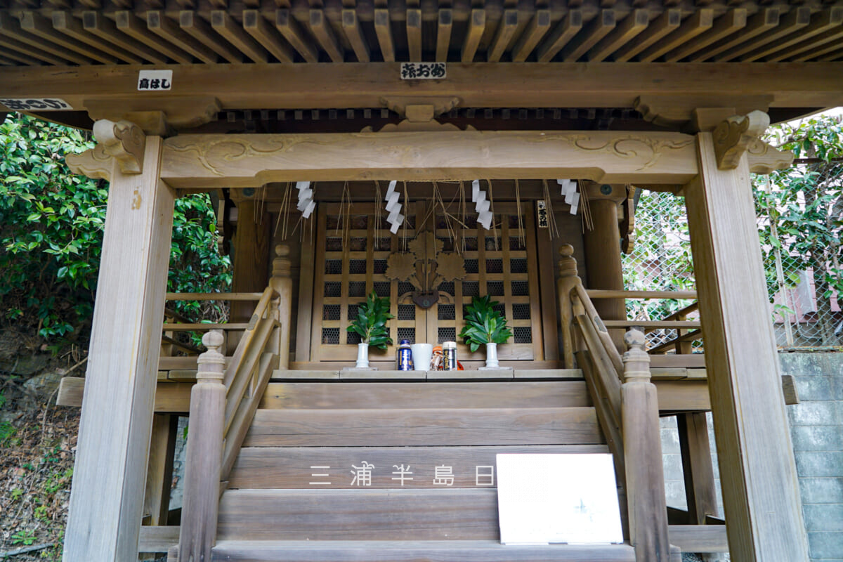 諏訪神社(御成町)・社殿(アップ)(撮影日:2025.03.11)
