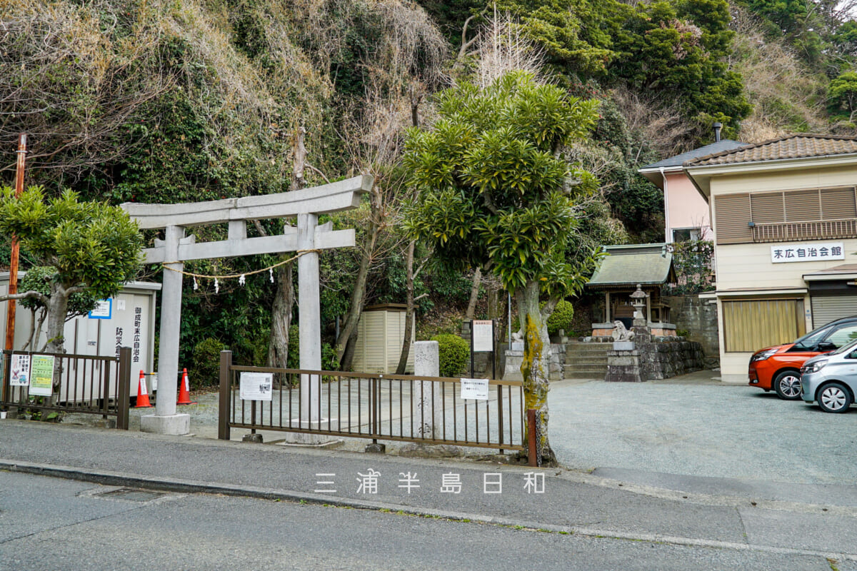 諏訪神社(御成町)・境内を鎌倉市役所前より望む(撮影日:2025.03.11)