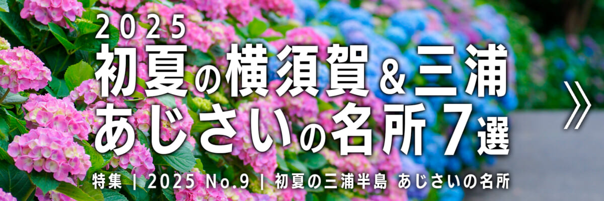 【2025 No.9】特集 | 横須賀&三浦あじさいの名所